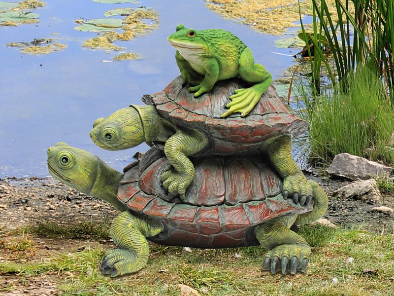 Can Turtles And Frogs Live Together