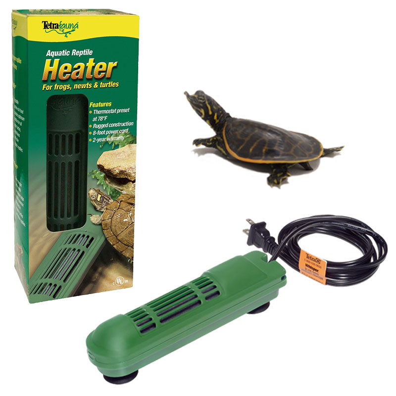 Does My Turtle Need a Water Heater