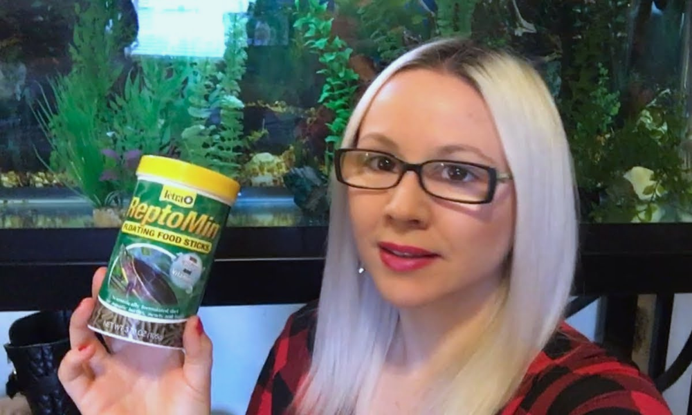 How Many Pellets To Feed Red Eared Slider? Turtlean