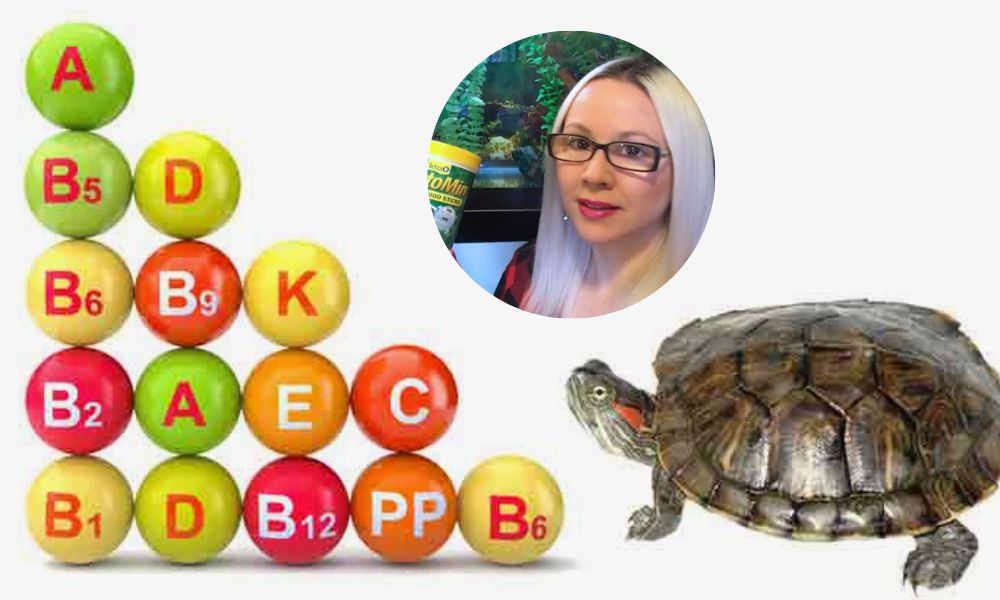 VitaminA Supplements For Turtles Turtlean