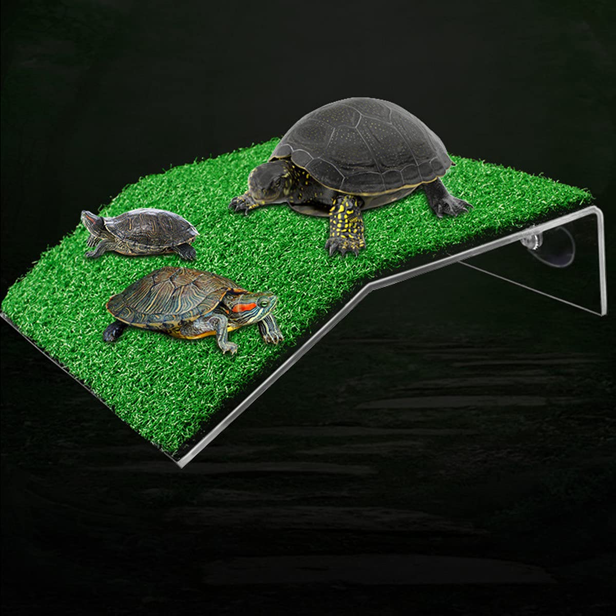 Turtle Resting Platform