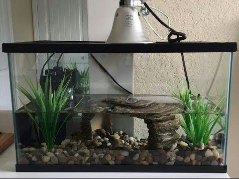 Yellow Belly Turtle Tank Set Up