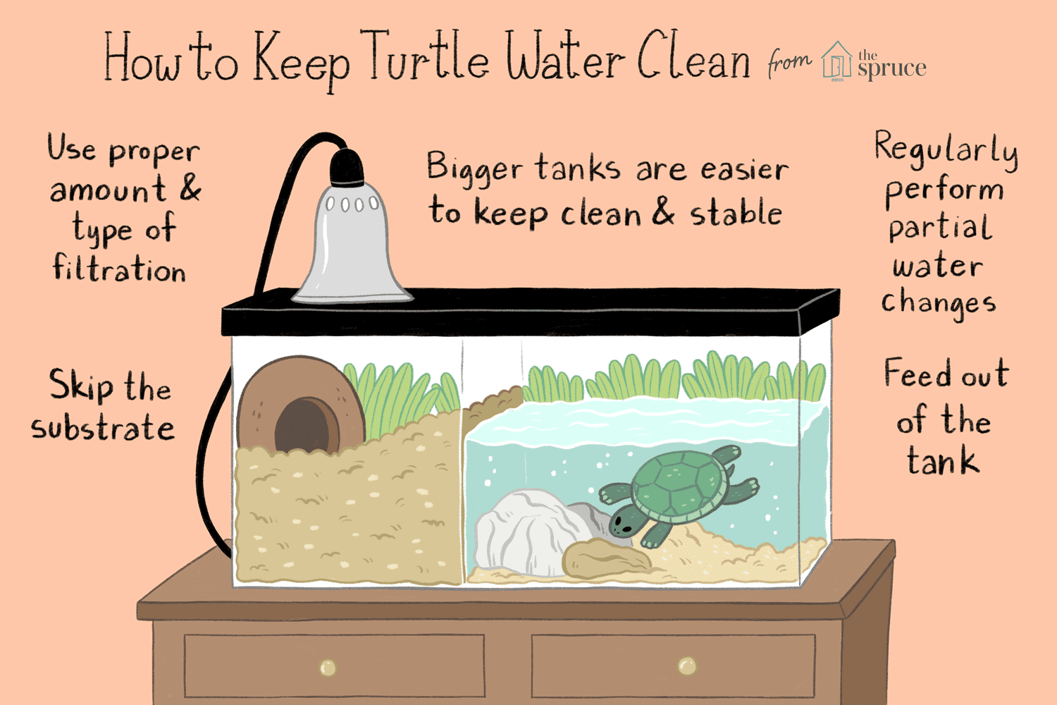 How Big Does a Turtle Tank Have to Be