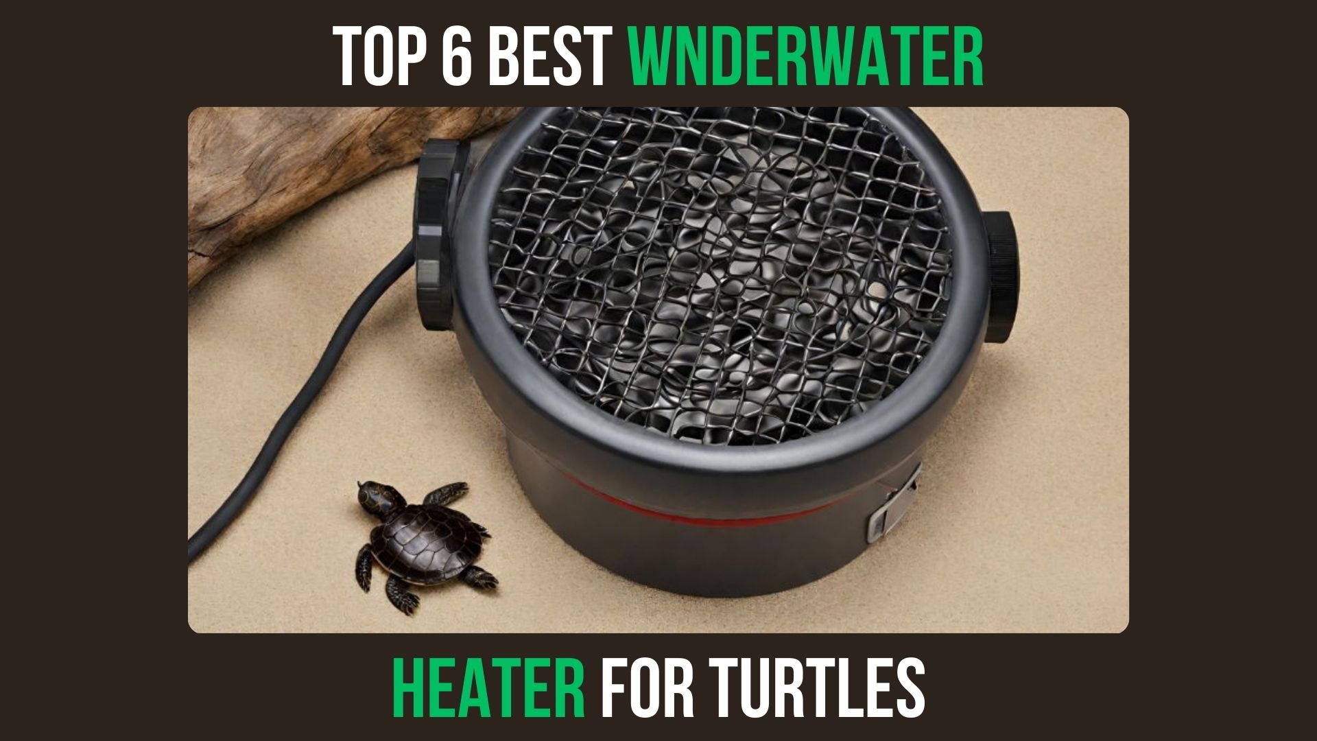 Top 6 Best Underwater Heater For Turtles