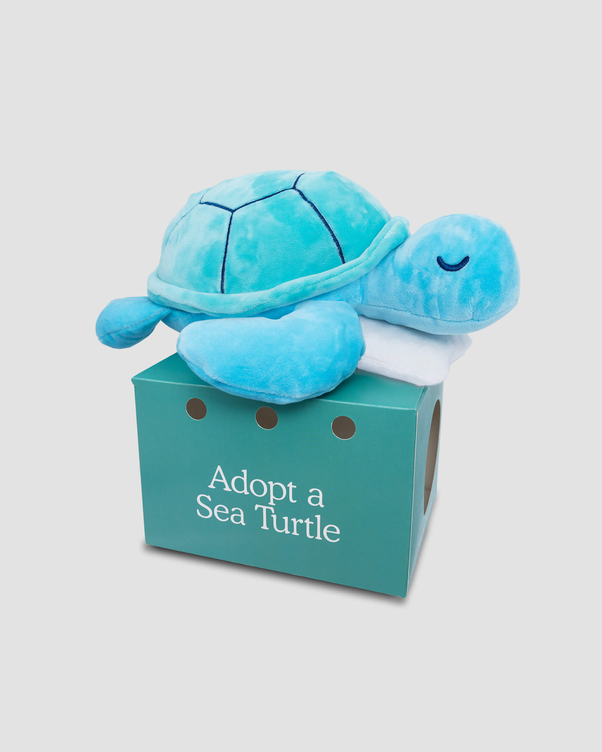 How to Adopt a Sea Turtle And Track It