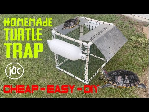 How to Build a Turtle Trap for Pond?