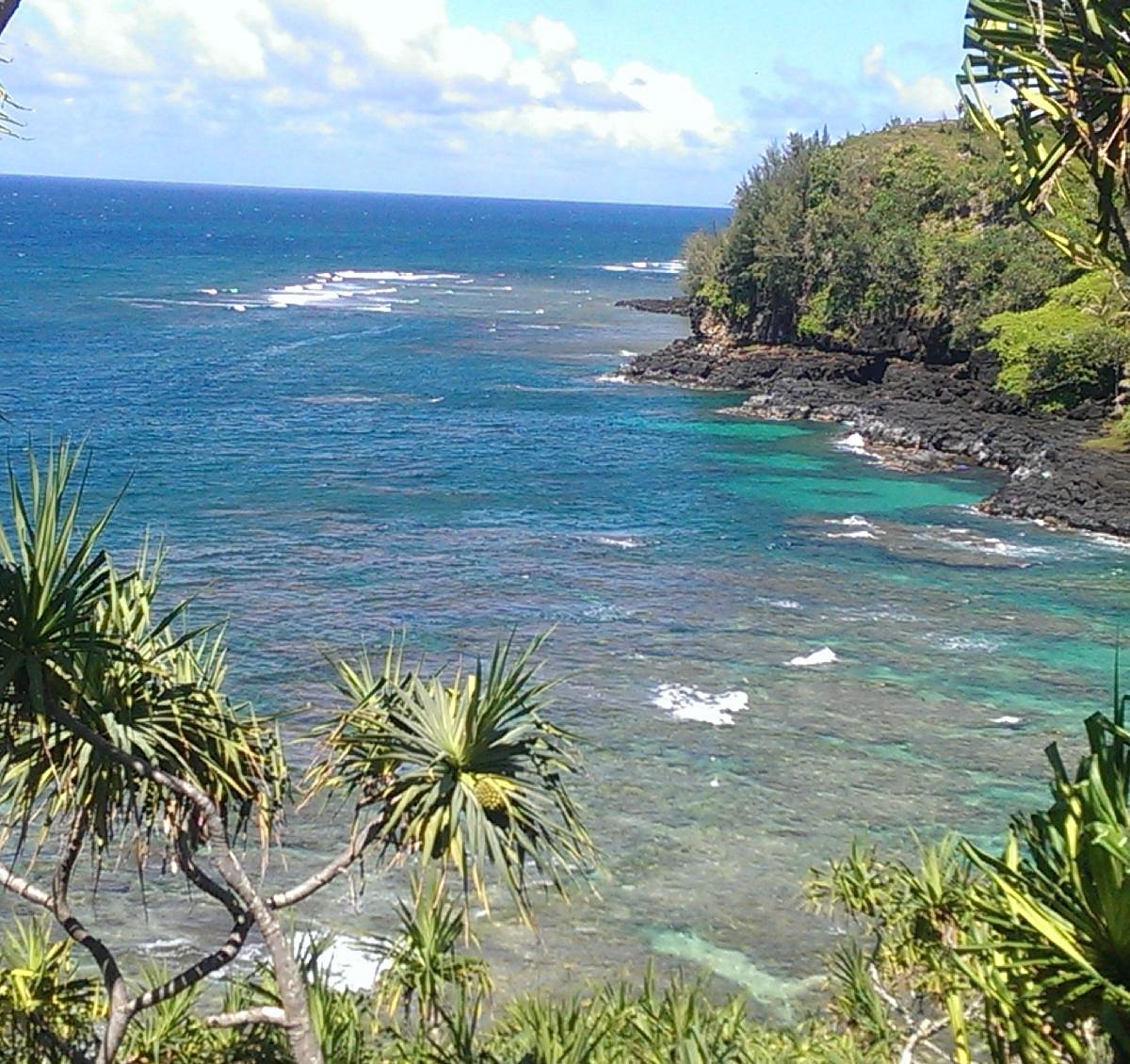 How to Get to Turtle Cove Kauai
