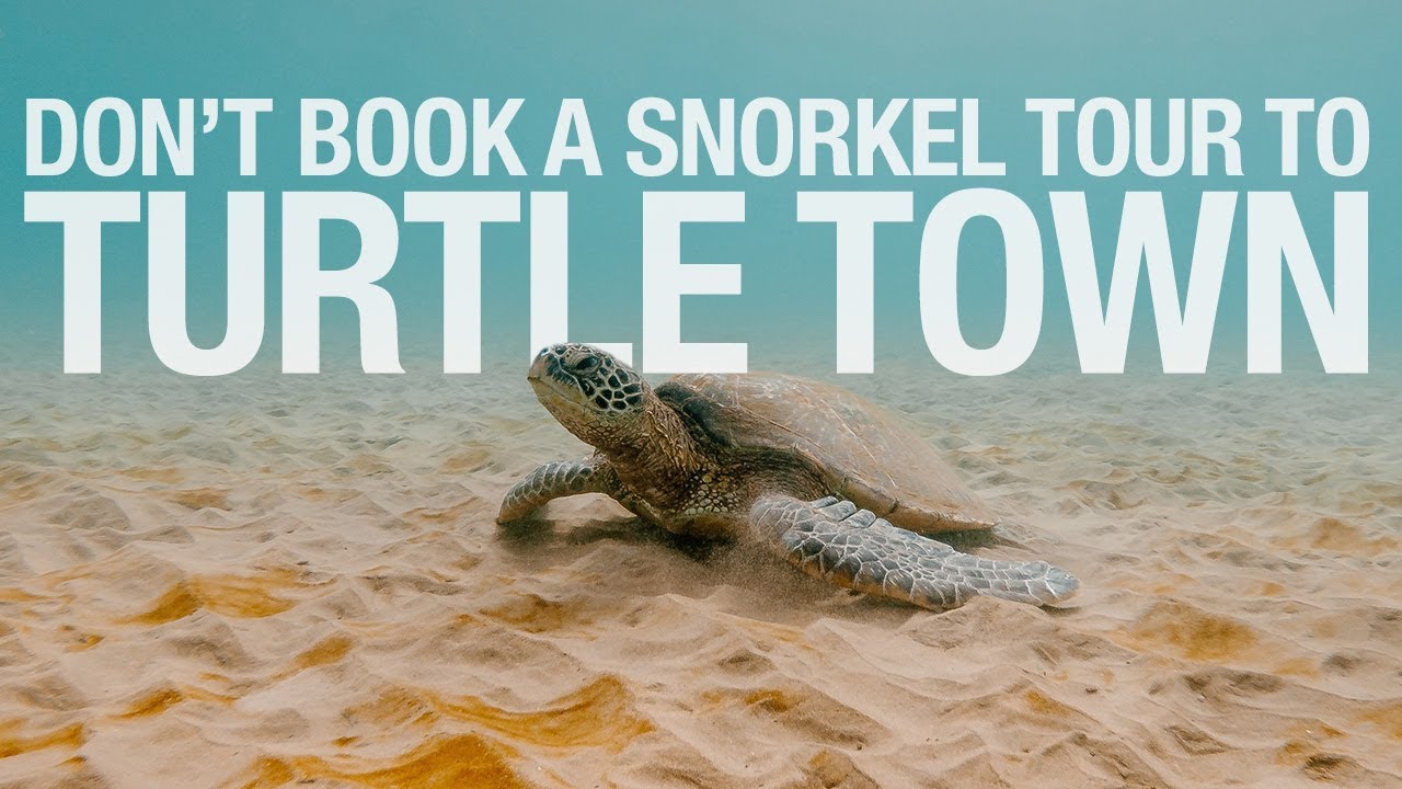How to Get to Turtle Town Maui