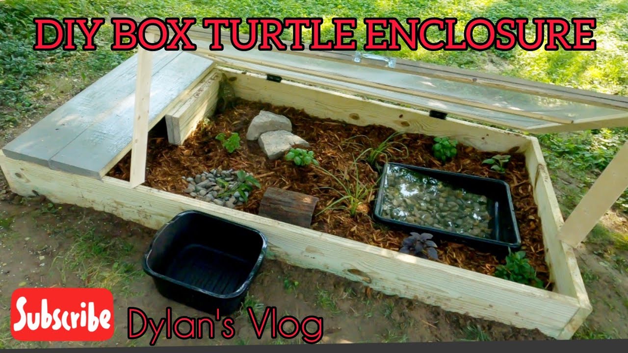 How to Make a Box Turtle Habitat Outside