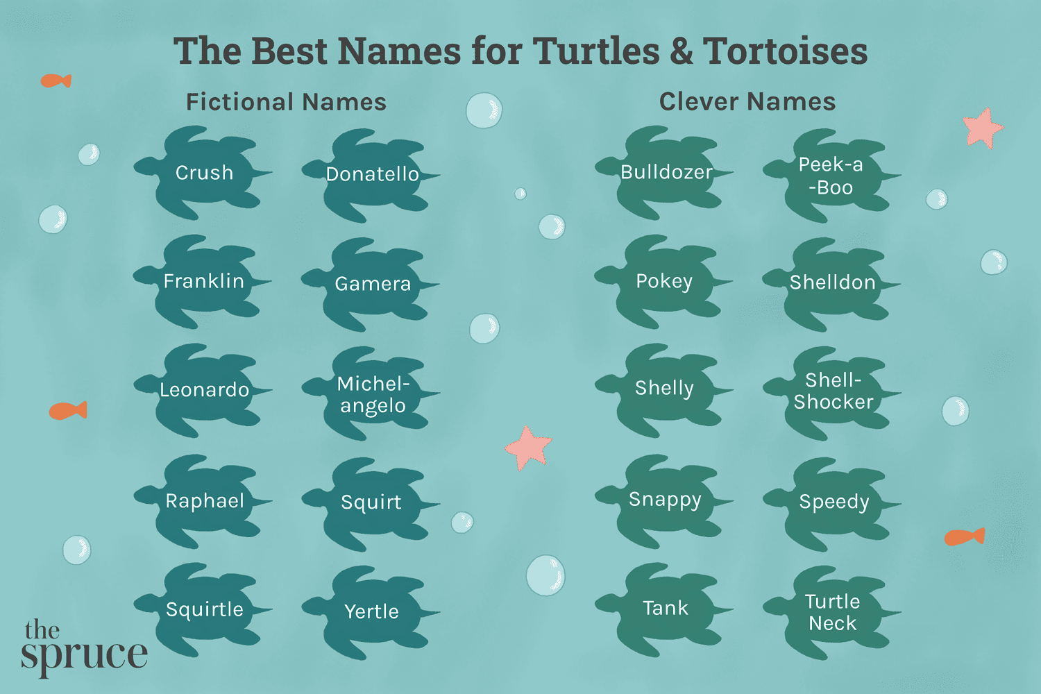 What are Good Names for Turtle