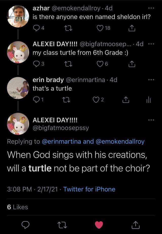 Will a Turtle Not Be Part of the Choir?