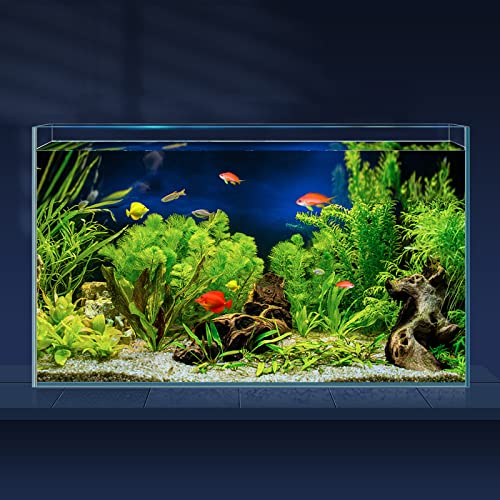 10 Gallon Turtle And Fish Tank: Top Choices For Your Turtle