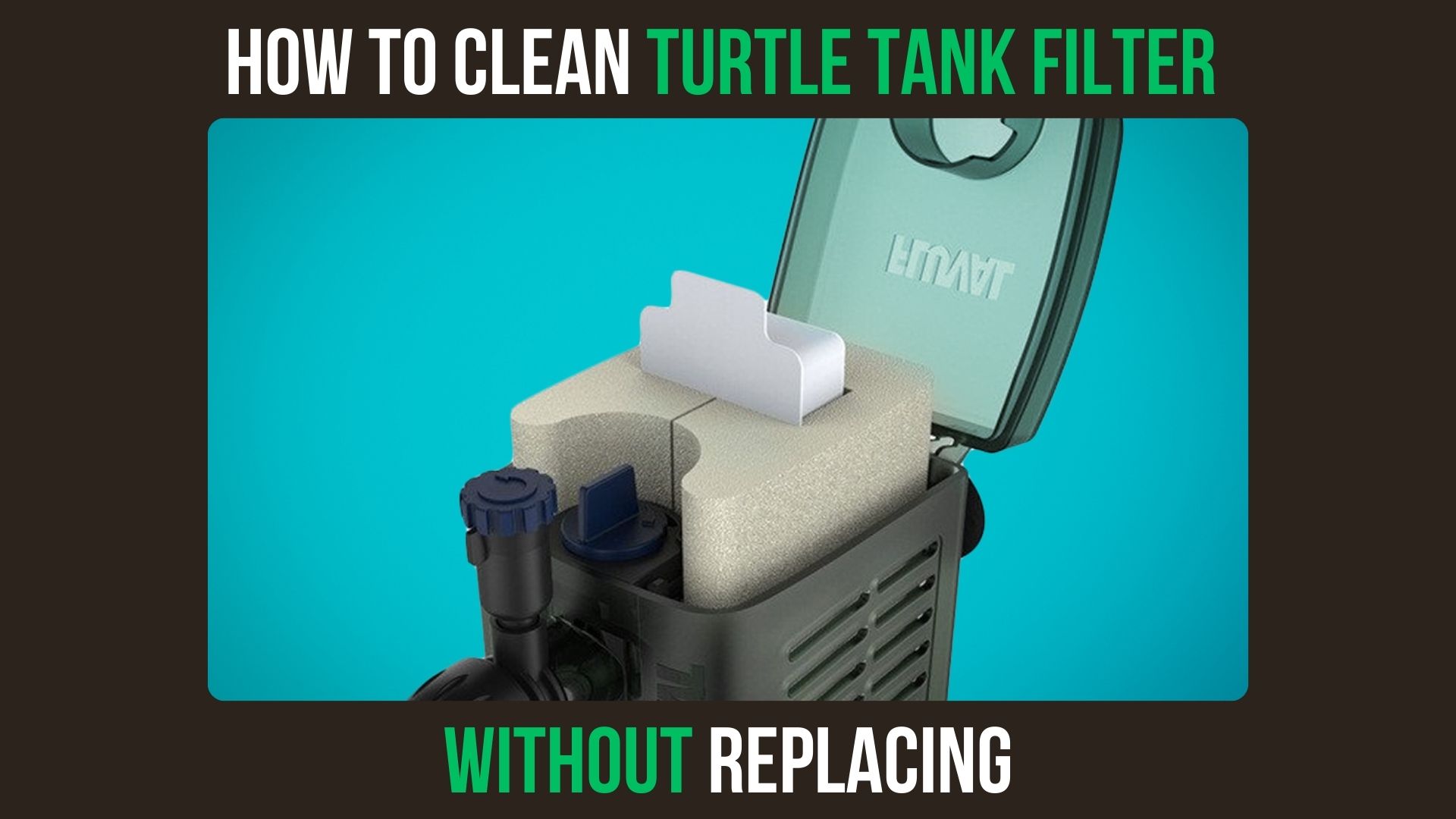 How to Clean Turtle Tank Filter Without Replacing?