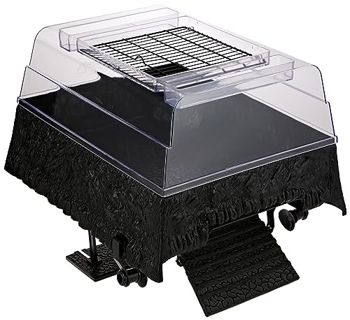 Best Basking Area for Turtles: Top Platforms for Your Tank