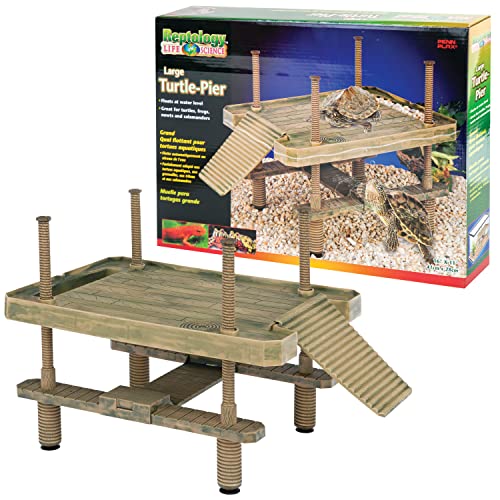 Best Basking Rock for Larger Turtles: Top Platforms for Your Tank