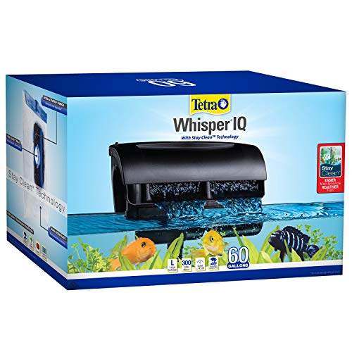 Best Filter for Turtle Tank 60 Gallon