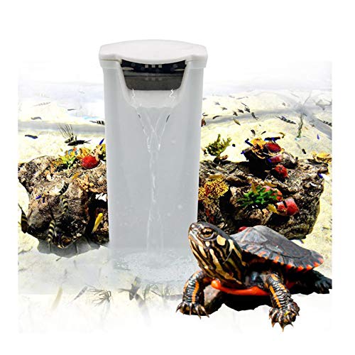 Best Filter for Turtle Tank With Compact Design