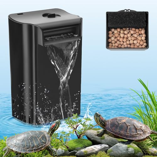 Best Filter for Turtle Tank With High Efficiency: Top Choices for Aquariums