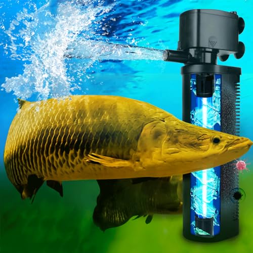 Best Filter for Turtle Tank With Strong Filtration