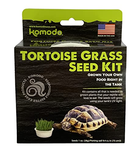 Best Grass for Box Turtle Habitat: Enhance with Komodo Seed Kit