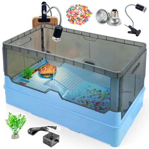 Best Habitat for a Turtle to Survive in: Top Turtle Tank Kits