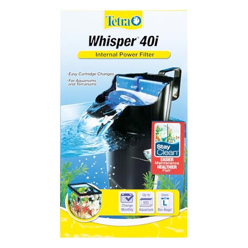 Best Internal Filter for Turtle Tank