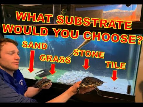 what substrate is safe for turtle tanks