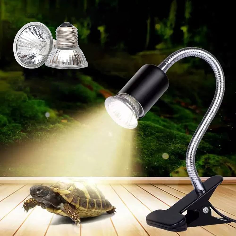 How To Set Up A Proper UVB Lighting For Turtles: Easy Setup