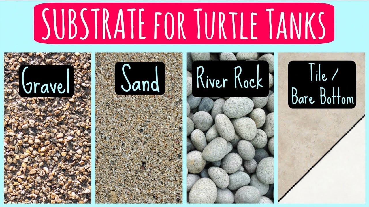 what substrate is safe for turtle tanks