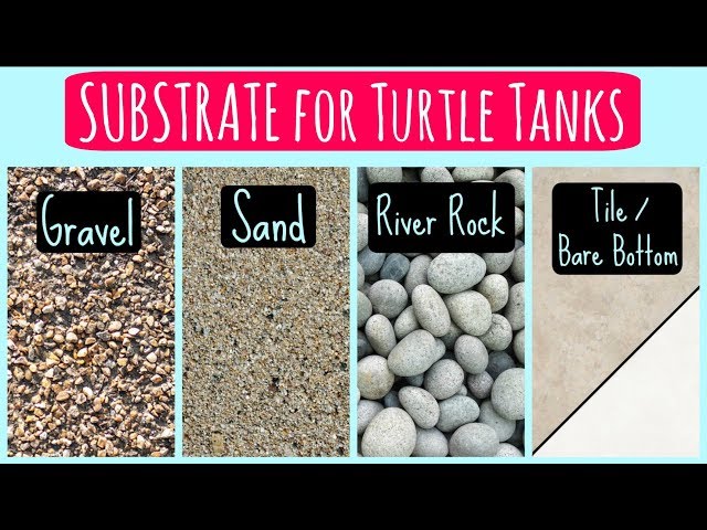 what substrate is safe for turtle tanks